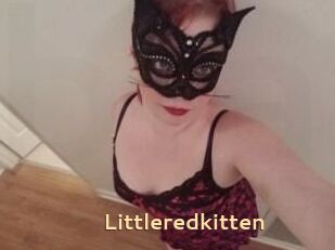 Littleredkitten