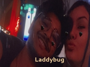 Laddybug