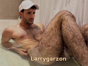 Larrygarzon