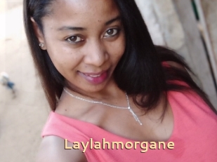 Laylahmorgane