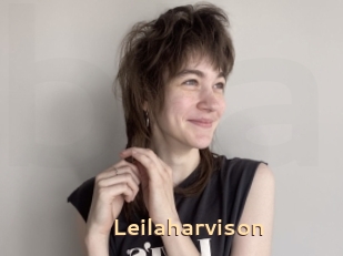 Leilaharvison