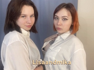 Lisaandmika