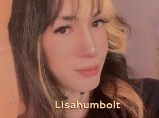 Lisahumbolt