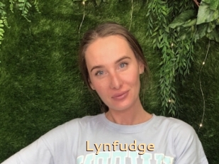 Lynfudge