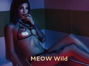 MEOW_Wild