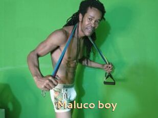 Maluco_boy