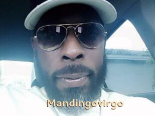 Mandingovirgo