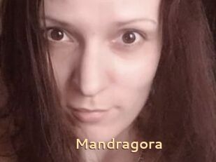 Mandragora