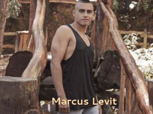 Marcus_Levit