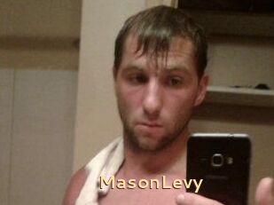 Mason_Levy