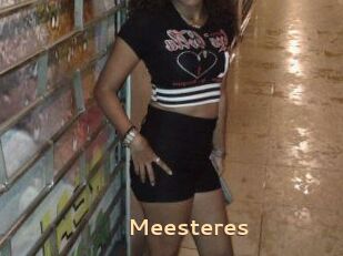 Meesteres