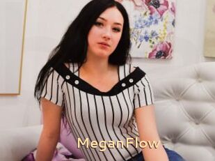 MeganFlow