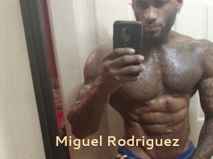 Miguel_Rodriguez