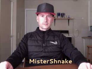 MisterShnake