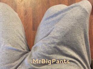 MrBigPants