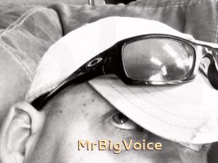 MrBigVoice