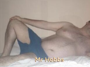 Mr_Hobbs