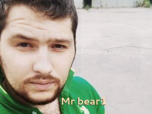 Mr_bear1