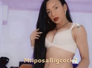 MriposaBigcock7