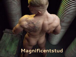 Magnificentstud