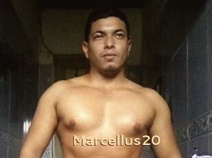 Marcellus20