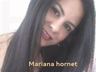 Mariana_hornet