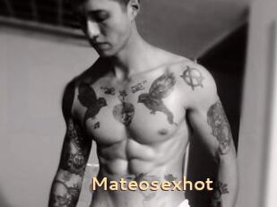 Mateosexhot