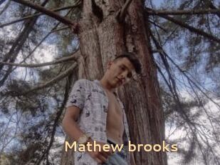 Mathew_brooks