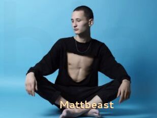 Mattbeast