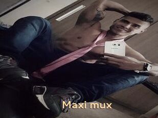 Maxi_mux