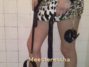 Meesterescha