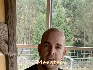 Meesterv