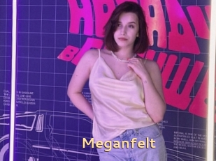 Meganfelt