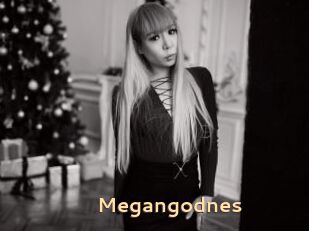 Megangodnes