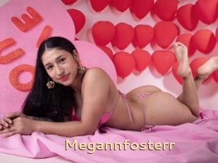 Megannfosterr