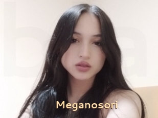 Meganosori