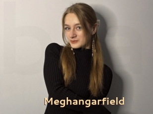 Meghangarfield