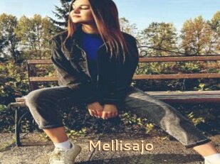 Mellisajo