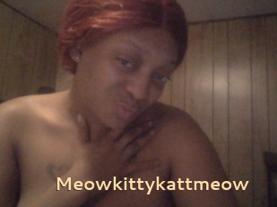 Meowkittykattmeow