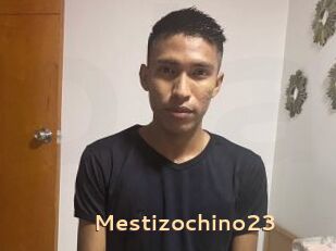 Mestizochino23