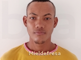 Mieldefresa