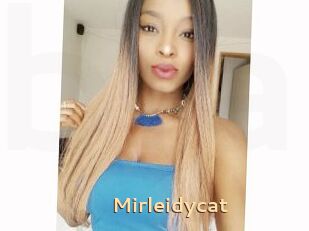 Mirleidycat