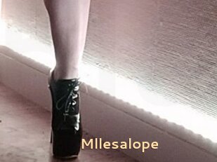 Mllesalope