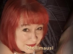 Mollimausi