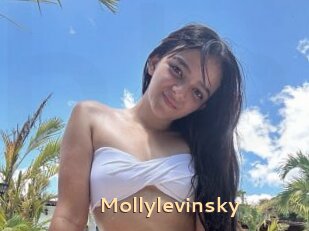 Mollylevinsky