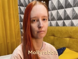 Mollyrabbit