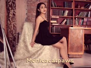 Monicacatpaws