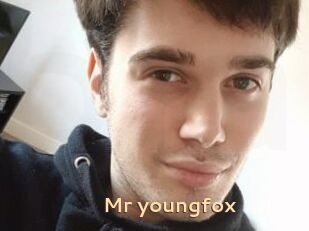 Mr_youngfox