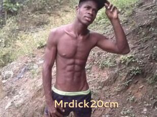 Mrdick20cm