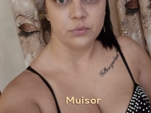 Muisor